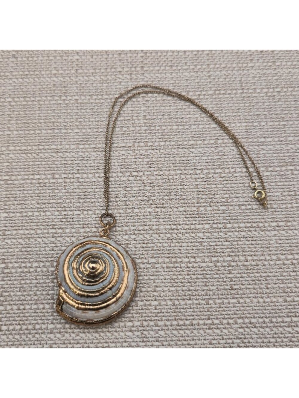 14 Inch Gold Filled Spiral Sea Shell Pendant Necklace, Natural Snail Shell B1449